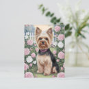 Recherche de yorkshire terrier chien cartes postales Élégant