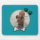 Recherche de cabot électronique Chiot