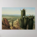 Suche nach desert landscape poster Cactus