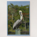 Recherche de 1000 puzzles Jardin