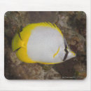 Recherche de intégral tapis souris Horizontal