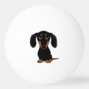 Recherche de short Dachshund