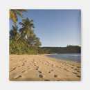 Recherche de mahe magnets Arbre