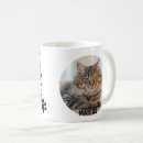 Recherche de simple chat tasses Chaton