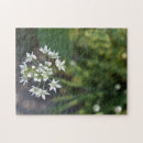 Recherche de fleur blanche puzzles Nature