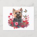 Suche nach yorkshire terrier poster Blume