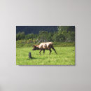 Suche nach outdoor leinwandbilder Wildnis