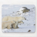 Recherche de l amérique tapis souris Hiver