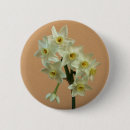 Suche nach narzissen buttons Daffodien
