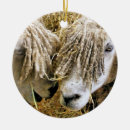Suche nach lustige schafe ornamente Nutztiere