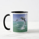 Recherche de westmorland tasses Dauphin à gros nez