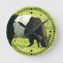Recherche de ceinture horloges Vache