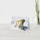 Suche nach gelber schnee karten Labrador retriever