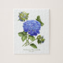 Recherche de hydrangea puzzles Fleurs bleues