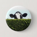 Recherche de internet badges Meme