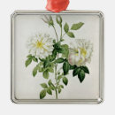 Suche nach knospen ornamente Blume
