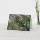 Suche nach baumhaus karten Baumhäuser