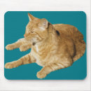 Suche nach entspannt mousepads Katze