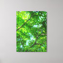 Recherche de auvent impressions sur toile Arbres