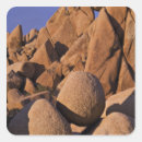Recherche de joshua tree autocollants Désert