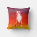 Suche nach pitbulls kissen Haustier