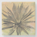 Recherche de plantes dessous de verres Feuille