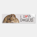 Suche nach degu Tiere