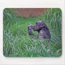 Suche nach primat mousepads Natur