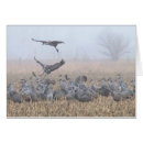 Recherche de oiseau migrateur cartes postales Faune