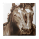 Recherche de chevaux carreaux Photographie