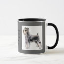 Recherche de mini schnauzer Schnauzers