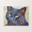 Recherche de visage de chat noir Amusant