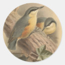 Suche nach vintage illustration aufkleber Natur