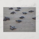 Suche nach el salvador postkarten Zentralamerika