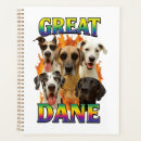 Suche nach deutsche doggen Welpe