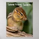 Suche nach stinker poster Natur