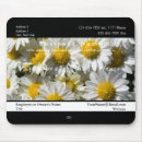 Suche nach kunde elektronik zubehör Blume