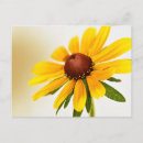 Suche nach gelbe blüten postkarten Sommer