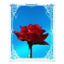 Suche nach single rose poster Grün