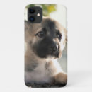 Suche nach leck mich iphone hüllen Tier