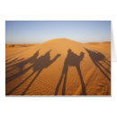 Recherche de tunisien cartes postales Tourisme