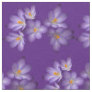 Recherche de crocus de ressort Floral