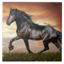 Recherche de beau cheval carreaux Pour tous