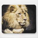 Suche nach afrikanische löwen mousepads Afrikanischer löwe