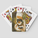 Recherche de cobaye jeux de cartes Hamster