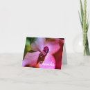 Recherche de insecte fait sur commande vœux cartes Nature