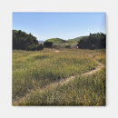 Suche nach dünen magnete Gras