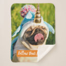 Suche nach folgen sie ich decken Lustig