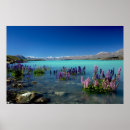 Suche nach inseln neuseeland poster Natur