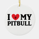 Recherche de chiot de pitbull ornements Chiots